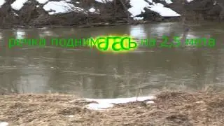 р Малая Кокшага