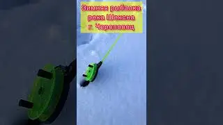 Река Шексна моя рыбалка