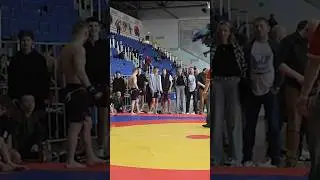 Young russian fighter low kick knockout #mma #knockout #shorts
