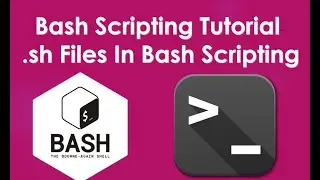 Bash Scripting Tutorial | .sh Files In Bash Scripting