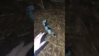 stranger danger