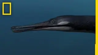 Sea Monsters 3 | National Geographic