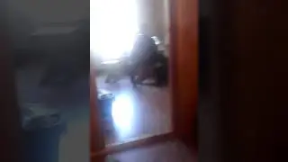 Воронины.