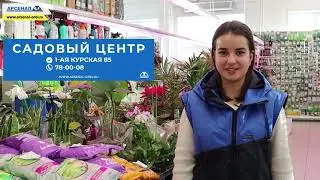 Садовый центр в магазине 