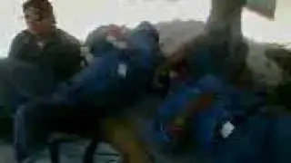 CFExtreem