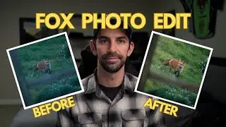 How to Edit Your Wildlife Photos like ME! - (Lightroom Tutorial)