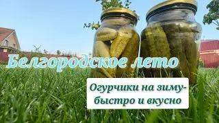 Белгородское лето/Закрываем огурцы на зиму/Вечер с друзьями