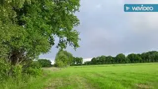 Fotografie van  de natuur