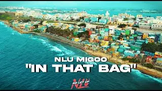 NLU Migoo - 
