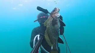 Challenging Stone-Under Hunt Against Currents | Spearfishing