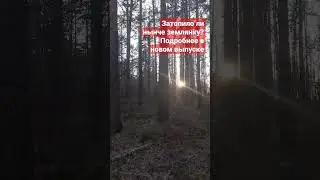 затопило землянку #землянка #николаевандрей