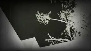 yone-ko @ strichka 2017