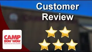 Camp Bow Wow AustinRemarkableFive Star Review by Jenifer T.