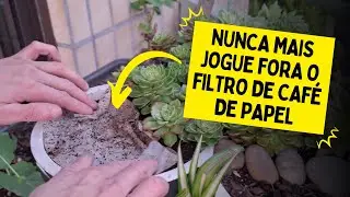 COMO UTILIZAR O FILTRO DE CAFÉ DE PAPEL NO JARDIM