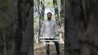 Orman Yangınlarının %96’sı İnsan Kaynaklı🌲🔥