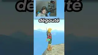 TOUT LE MONDE A ESSAYÉ DE FAIRE CA sur Zelda Tears of the Kingdom