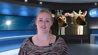 Weekoverzicht (week 5 - 2016) - Lokale Omroep Elburg