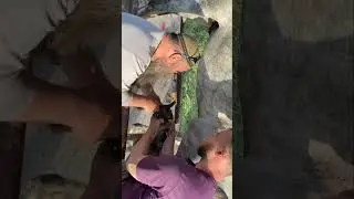 🐴ПОДКОВА НА СЧАСТЬЕ🐴 горячая ковка
