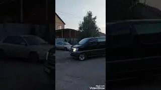 Продаю своего красавчика