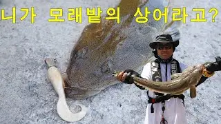 You're a shark in the sand? [Geoje Okrim]