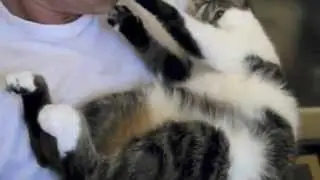 Sleeping Cat Attacks Man's Face