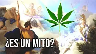 MITOS de FUMAR MARIHUANA 👁‍🗨🌬️ ¿Qué Vuela Más? 🤔