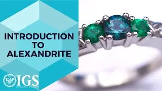 All About Alexandrite: The Rare and Enchanting Gemstone | Expert Insights and Facts