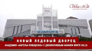 Новый Ледовый Дворец | Академия 