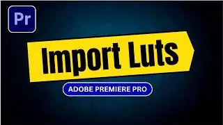 How to Import Luts in Adobe Premiere Pro-HINDI/URDU