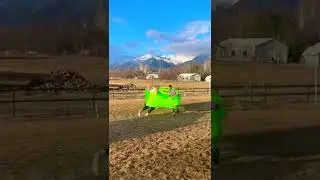 funny game with friends