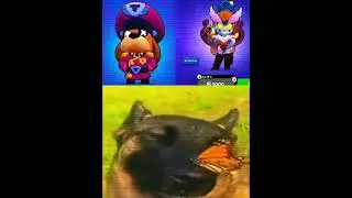 🐶🦋 #brawlstars #бравл_старс #гавс #джанет