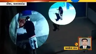 Banaskantha: Man molesting woman captured in CCTV - Zee 24 Kalak