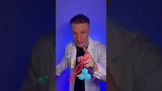β-талассемия: когда гены «ломают» гемоглобин, а лицо меняет форму