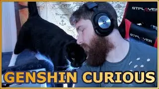 Genshin Impact - More than curious.