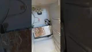 Вода в морозильнике Атлант No Frost