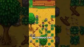 Best Stardew Valley Farms for Beginners! | Choose the Right Farm Map