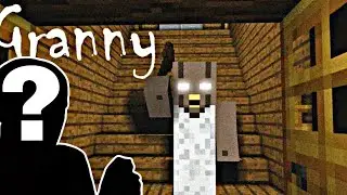 OMG GRANNY CAME IN MINECRAFT !