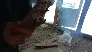 добывание огня без спичек. Весь процесс.
