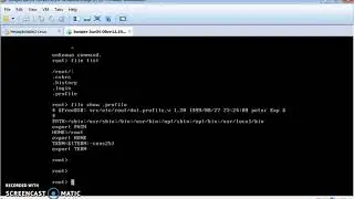 How to create a .txt file on Juniper.