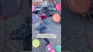 Когда всём завтра на работу, а ты уволилась