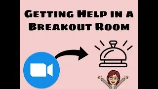 Asking for Your Teacher's Help on Zoom (While in a Breakout Room)