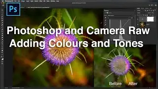 Colours and Tones Photoshop
