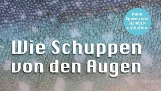 Sprichwort mit biblischem Ursprung: Wie Schuppen von den Augen