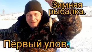 Первый улов зимняя рыбалка