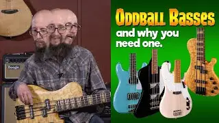 Fairly Odd Basses (for a unique sound!) - Little Guy with a Big Guitar!