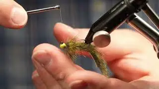 Sour Apple Leech Fly Pattern