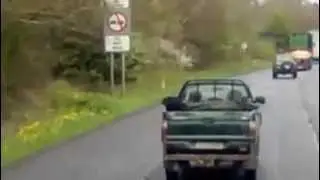 dog in van[pickup]     80km/h