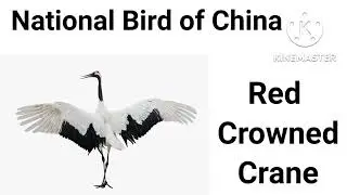 Learn About National Symbols of Çhina in English with Images|National Symbols of China in English |