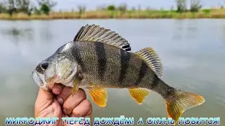 МИКРОДЖИГ перед дождём! А окунь ловится!