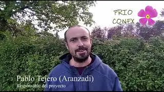 PRIOCONEX. Experimento Cult Comp